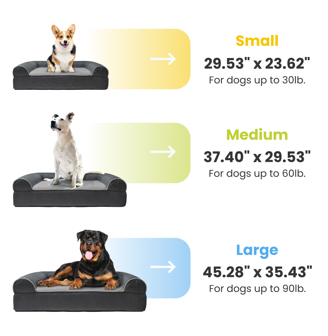 Dog Cloud Advanced Vibration Therapy At Home DogCloud
