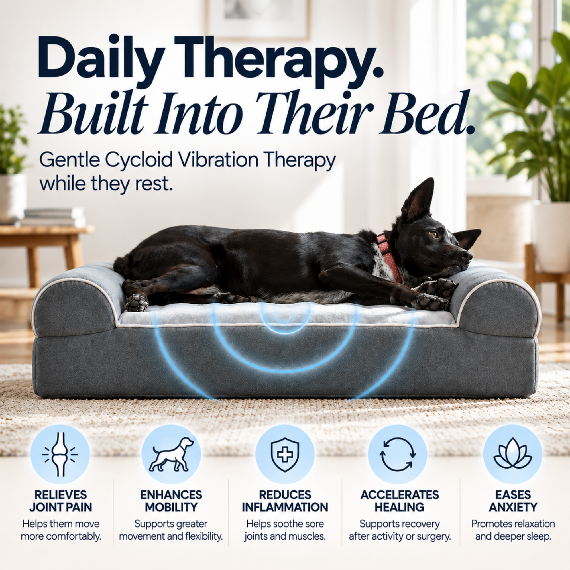 Dog Cloud's Massage Dog Bed