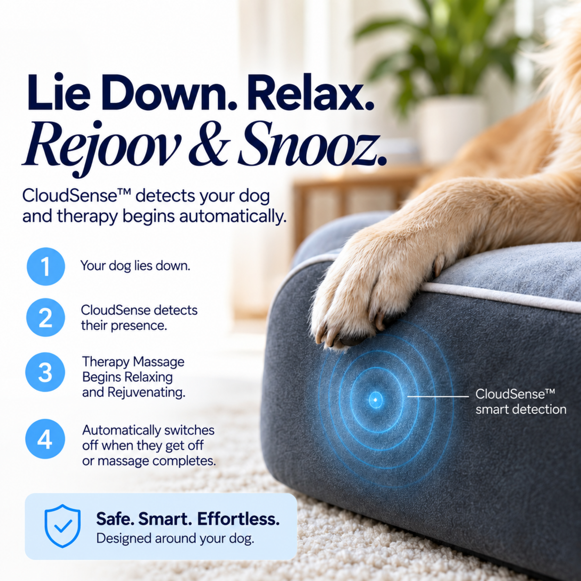 Dog Cloud's Massage Dog Bed