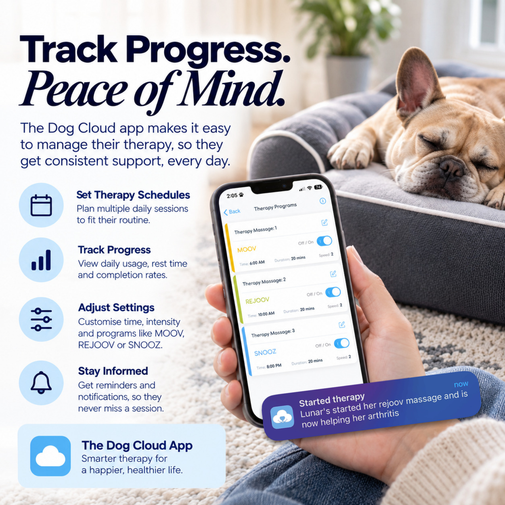 Dog Cloud's Massage Dog Bed