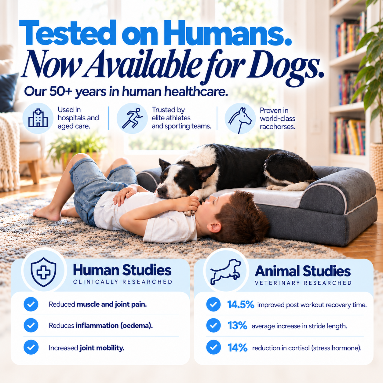 Dog Cloud's Massage Dog Bed