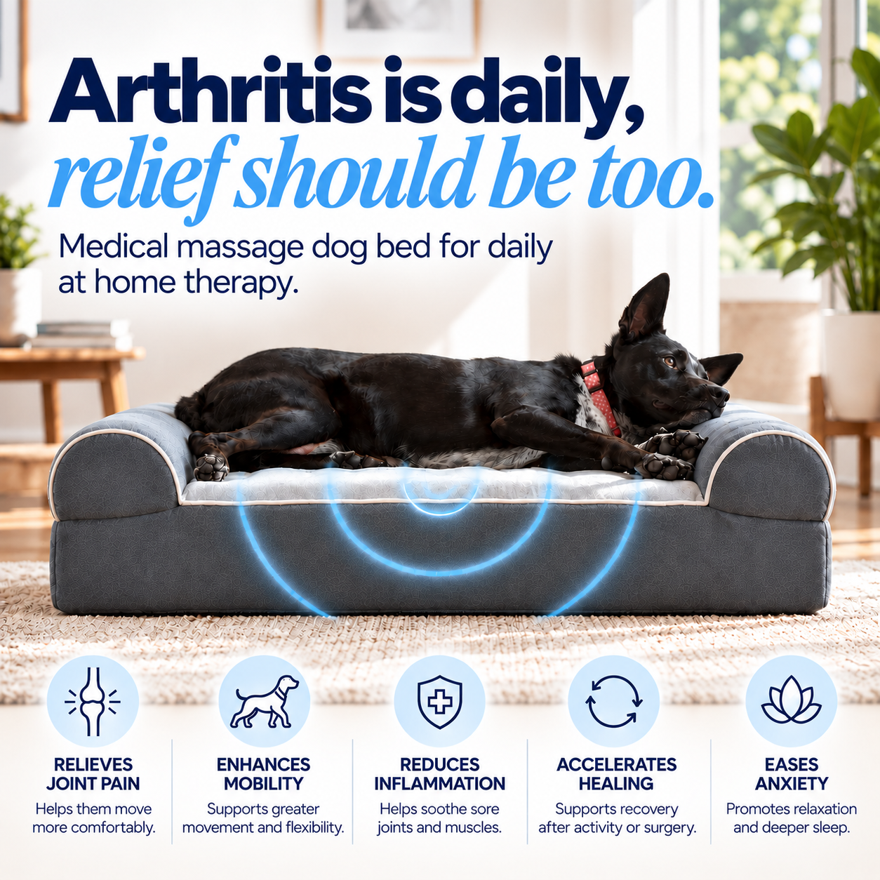 Dog Cloud's Massage Dog Bed