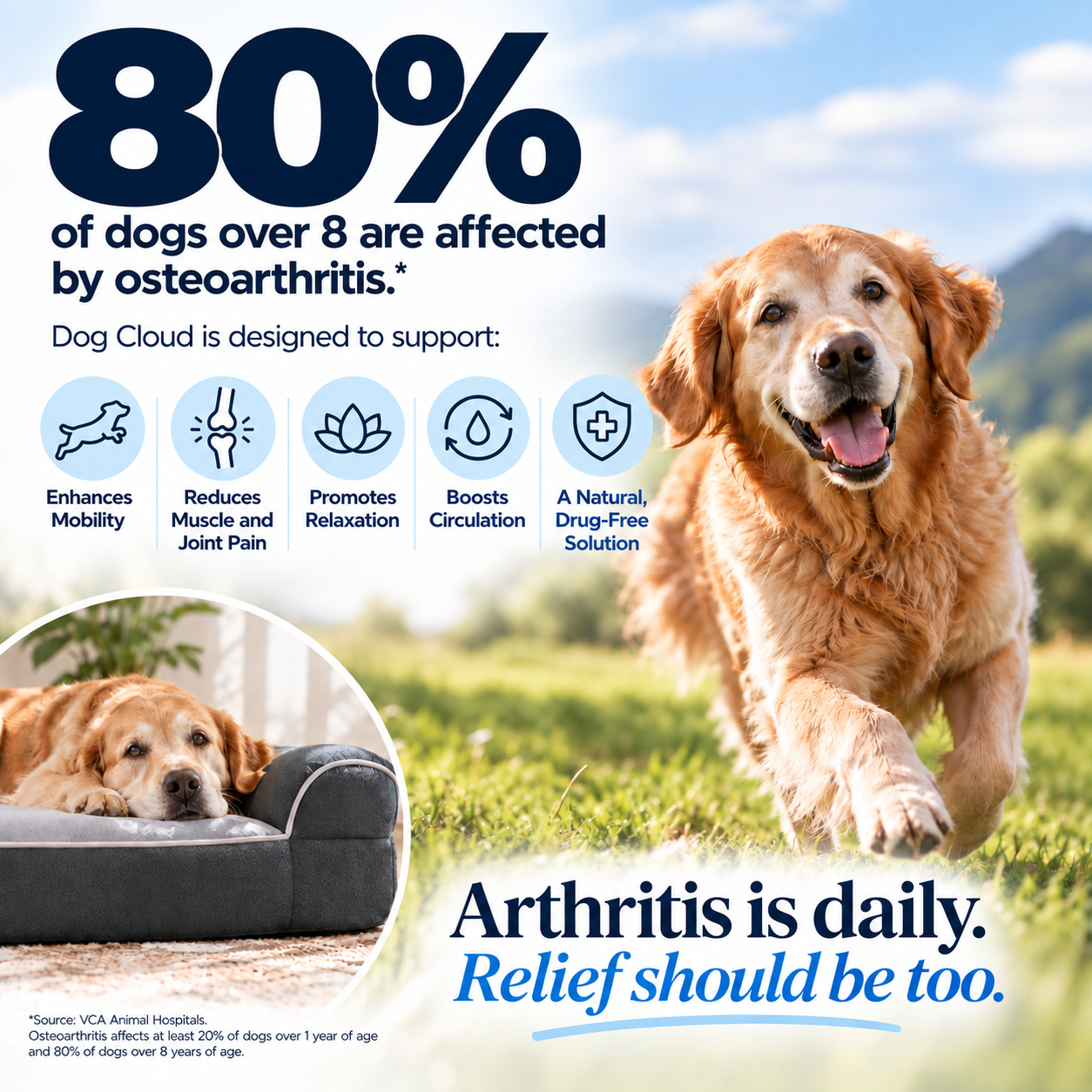 Dog Cloud's Massage Dog Bed