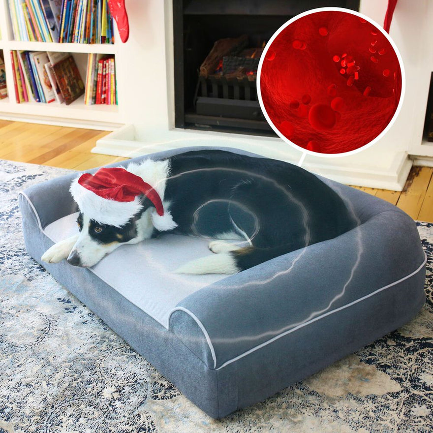 Picture of DogCloud | Dog Cloud Vibrating Therapy Massage Beds | Arthritis Pain Relief