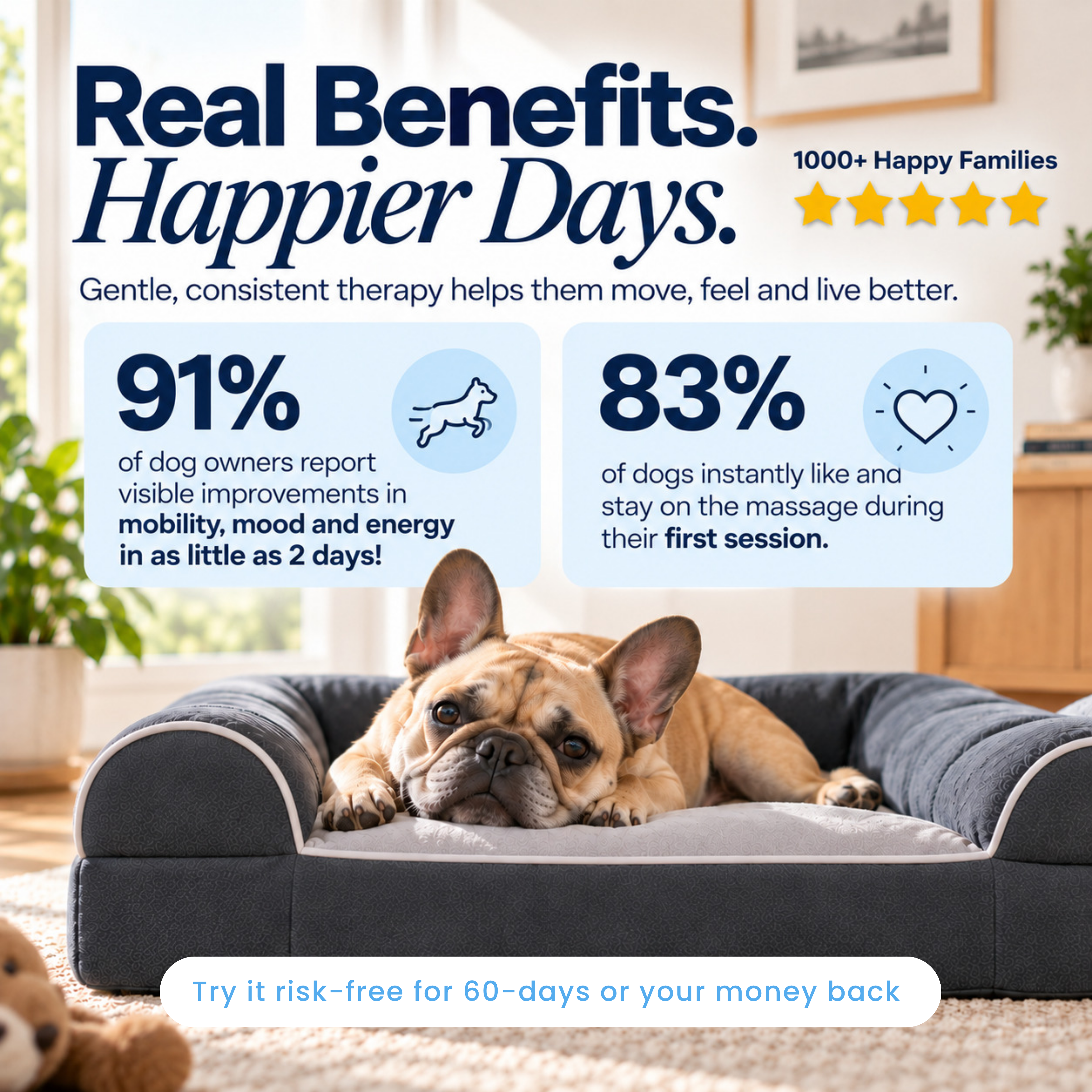 Dog Cloud's Massage Dog Bed