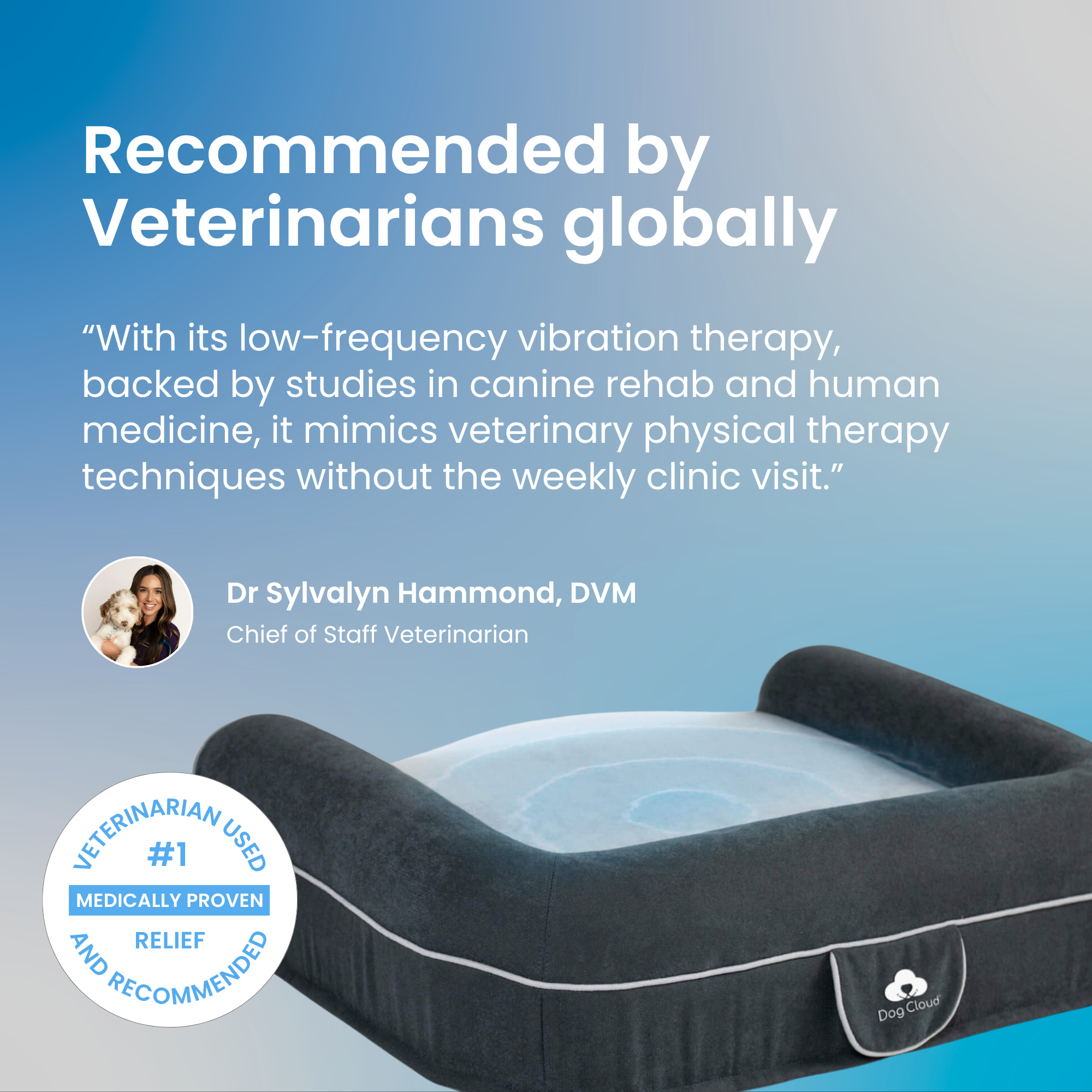 Dog Cloud's Massage Dog Bed