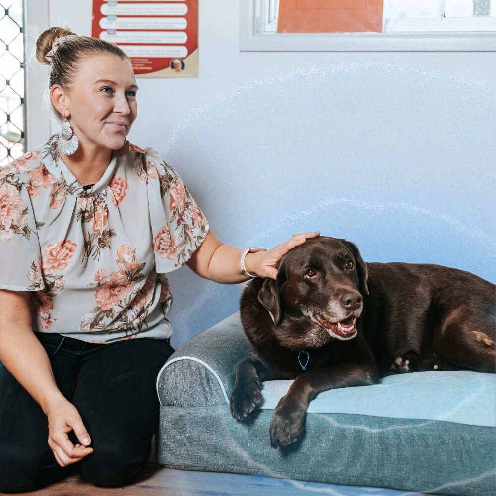 Dog Cloud's Massage Dog Bed