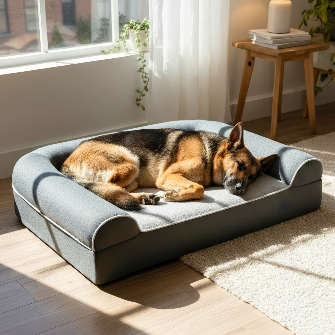 Dog cloud technology massage dog bed
