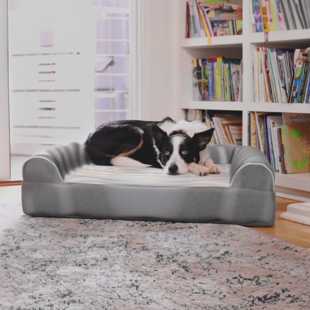 Dog Cloud's Massage Dog Bed